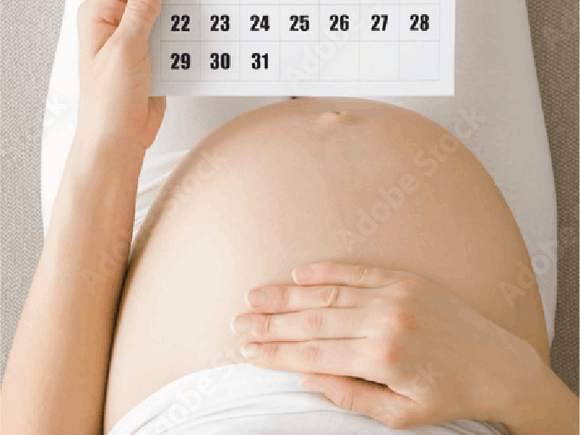 Weekly Pregnancy Calendar